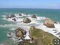 thn_The Catlins Coast 021.jpg